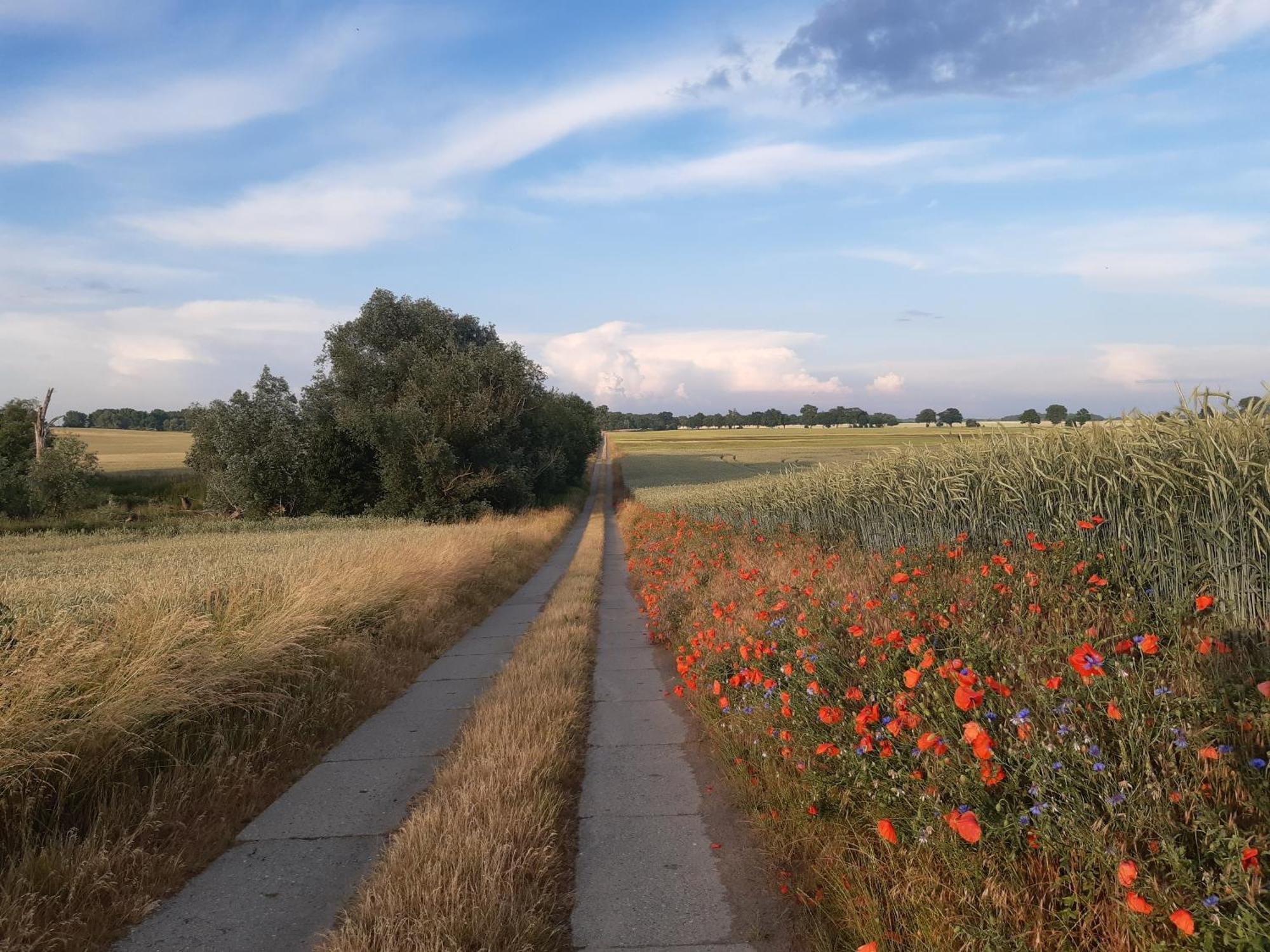 Kulturfreizeiten Ferienwohnungen Neuruppin Extérieur photo