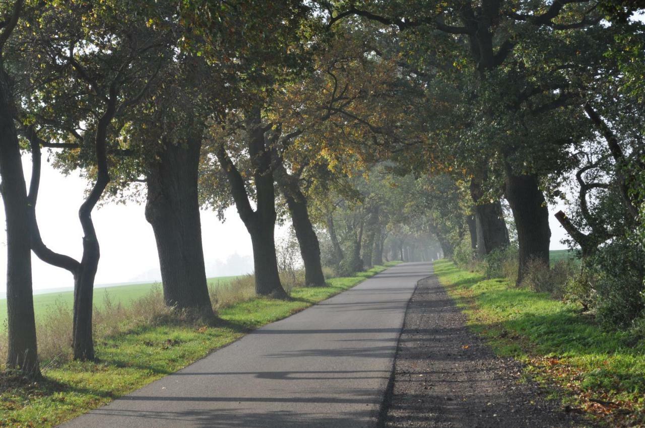 Kulturfreizeiten Ferienwohnungen Neuruppin Extérieur photo