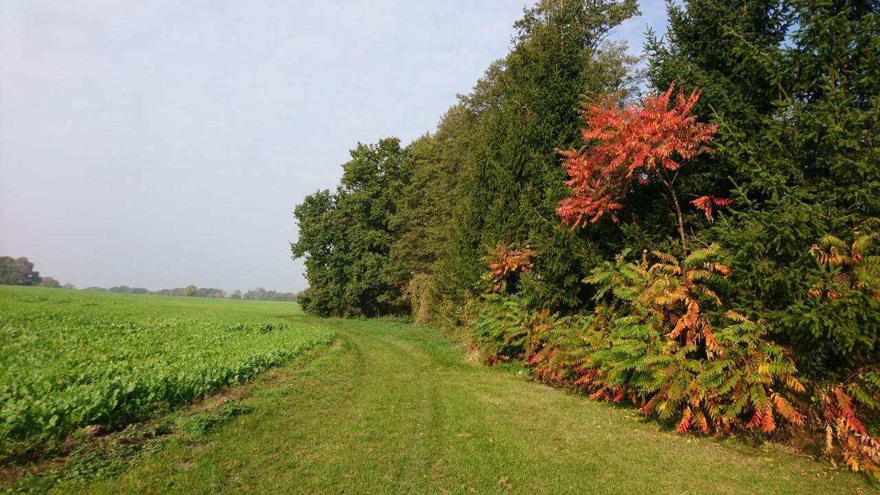 Kulturfreizeiten Ferienwohnungen Neuruppin Extérieur photo