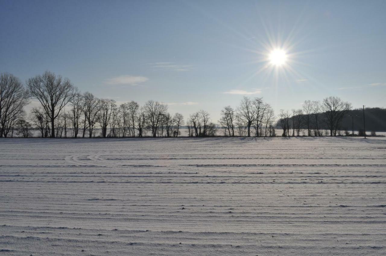 Kulturfreizeiten Ferienwohnungen Neuruppin Extérieur photo