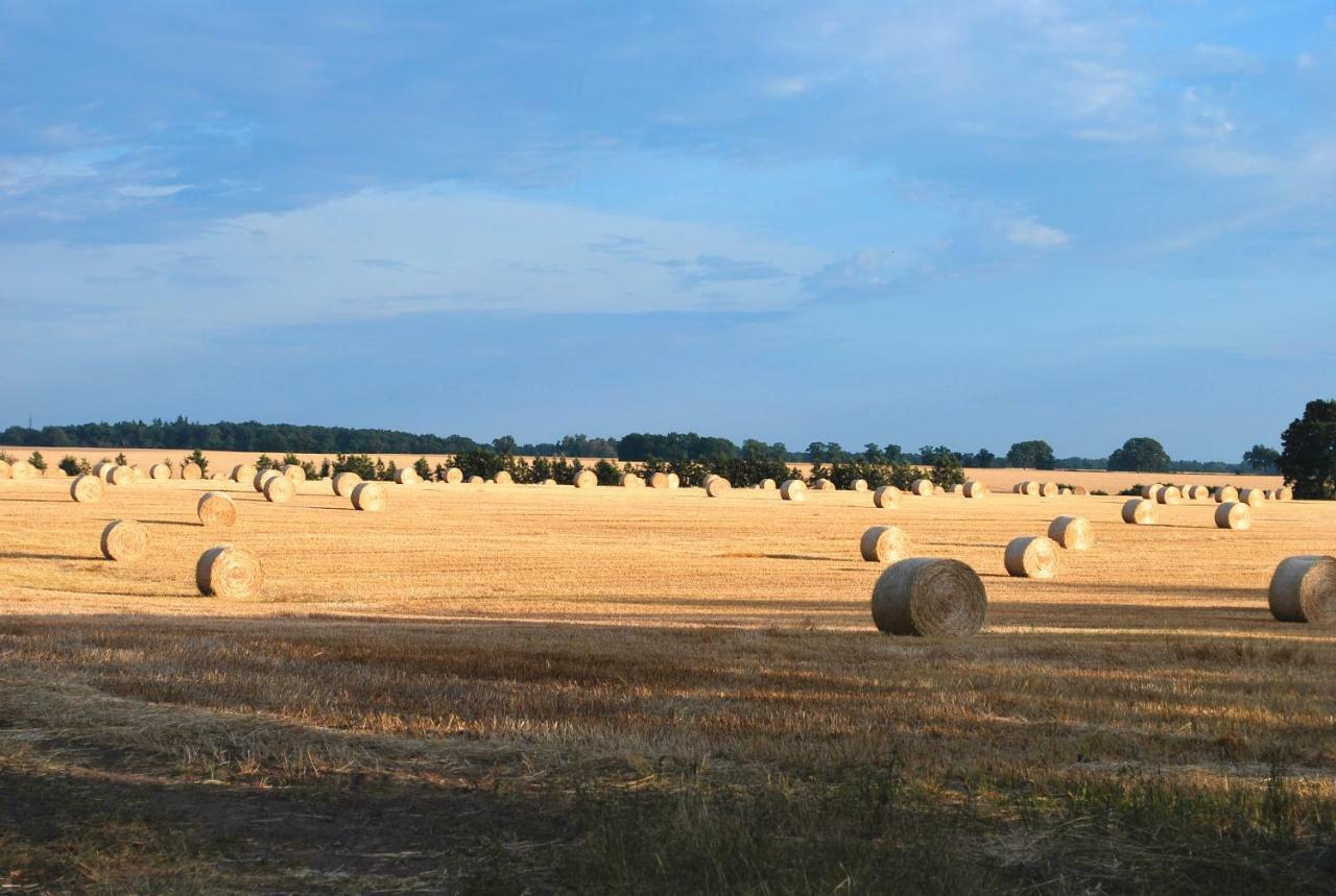 Kulturfreizeiten Ferienwohnungen Neuruppin Extérieur photo
